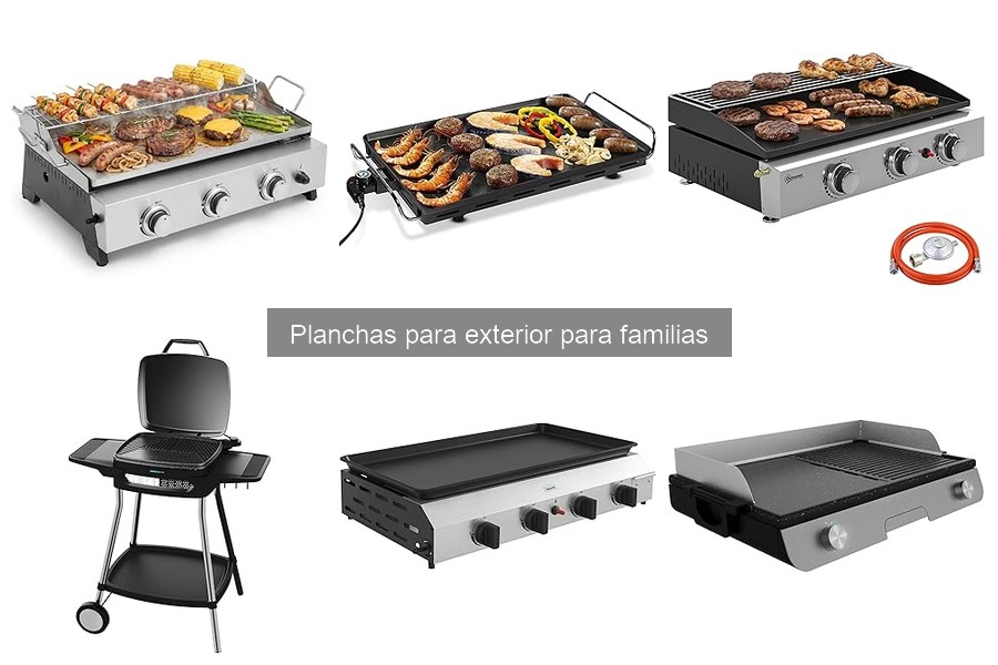Recetas fáciles para planchas de exterior que disfrutarás