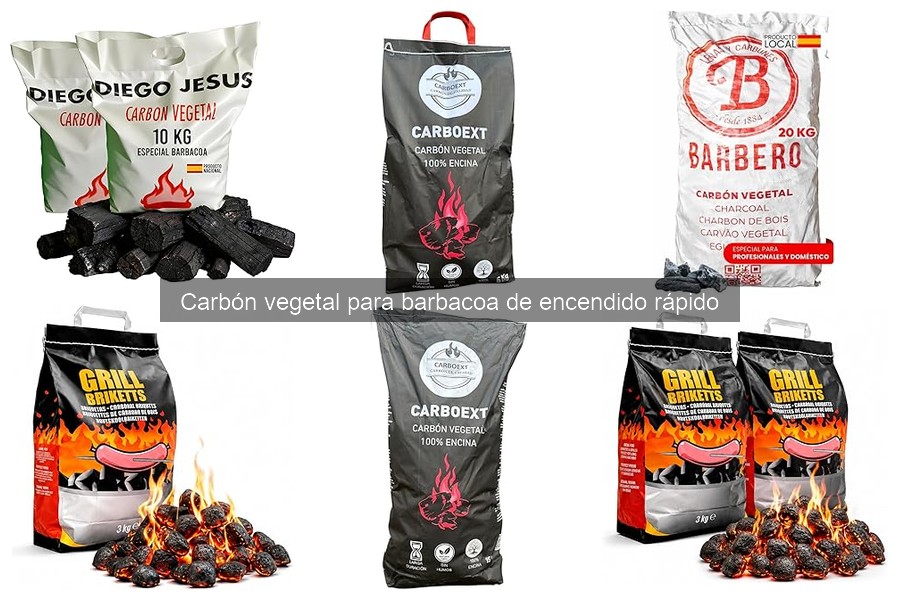 Recomendaciones de expertos para usar carbón vegetal rápido