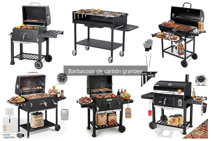 Reseñas de Barbacoas de Carbón Grandes: Las Mejores Marcas