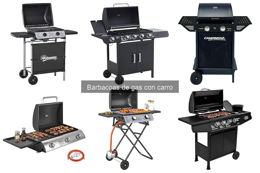 Soluciones a problemas comunes en barbacoas de gas con carro