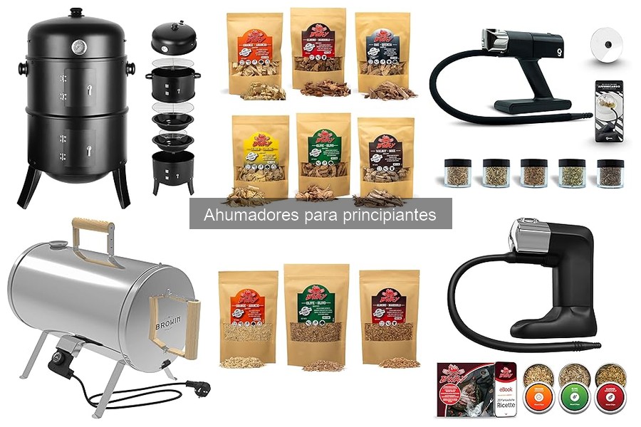 Tipos de ahumadores para principiantes: guía completa