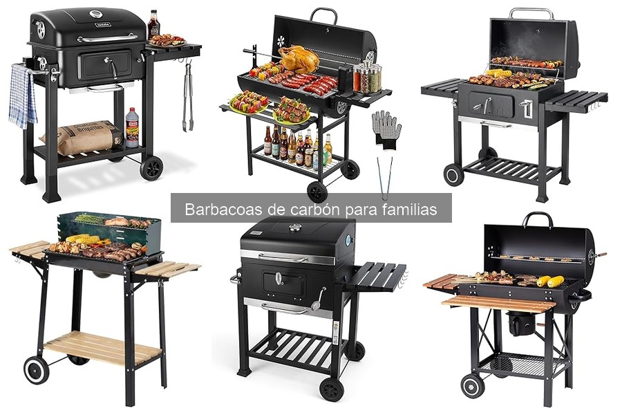 Tipos de Barbacoas de Carbón para Familias: Guía Completa