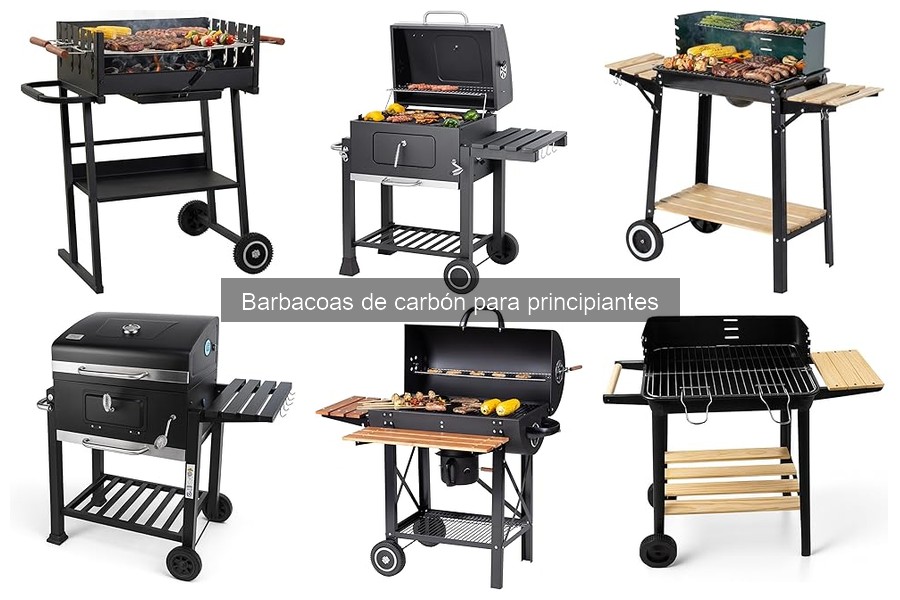Tipos de barbacoas de carbón para principiantes: Guía completa