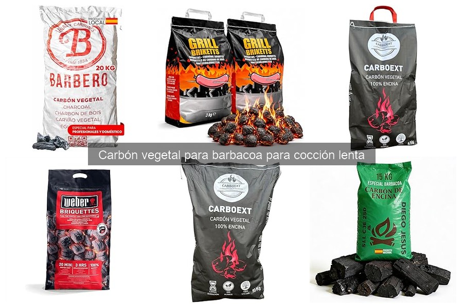 Tipos de carbón vegetal para barbacoa: guía completa