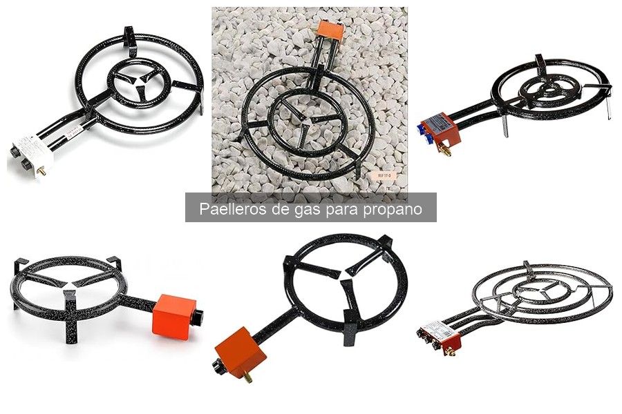 Tipos de Paelleros de Gas para Propano: Guía Completa