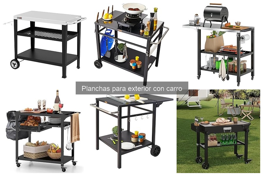 Tipos de planchas para exterior con carro: Guía completa