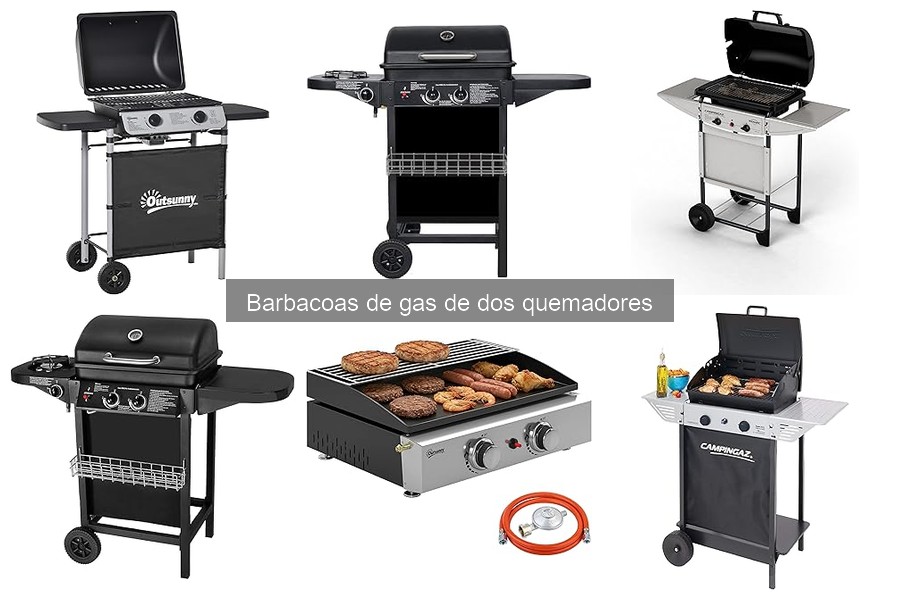 Todo sobre la barbacoa de gas de dos quemadores