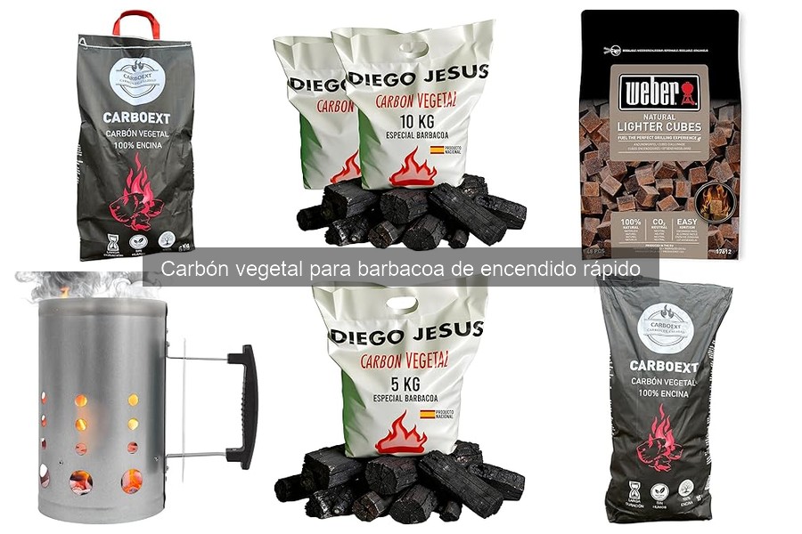 Usos creativos del carbón vegetal de encendido rápido en parrillas