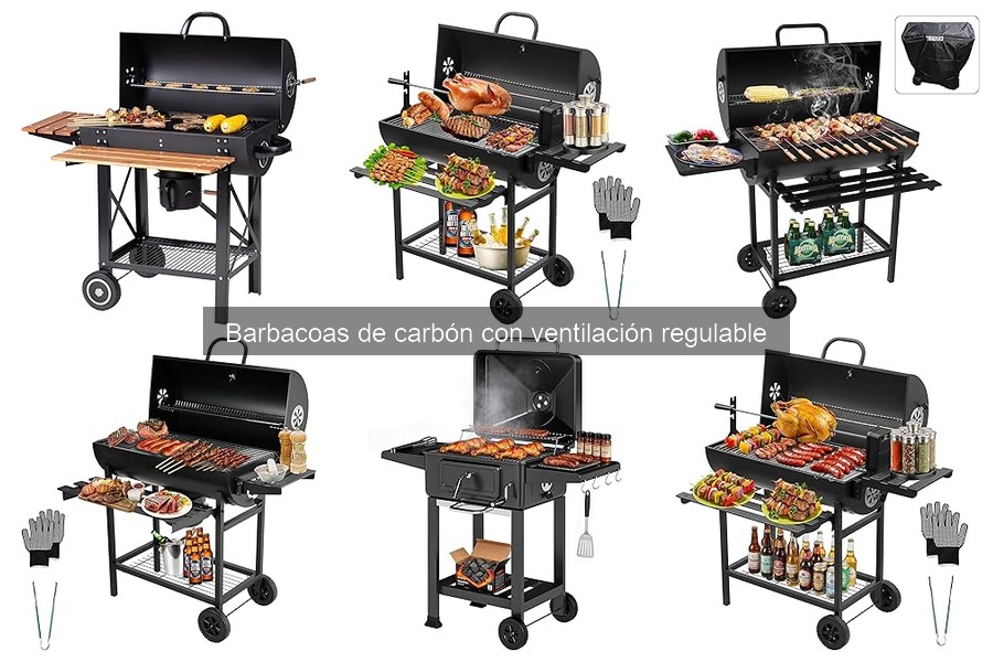 Ventajas de las Barbacoas de Carbón con Ventilación Regulable