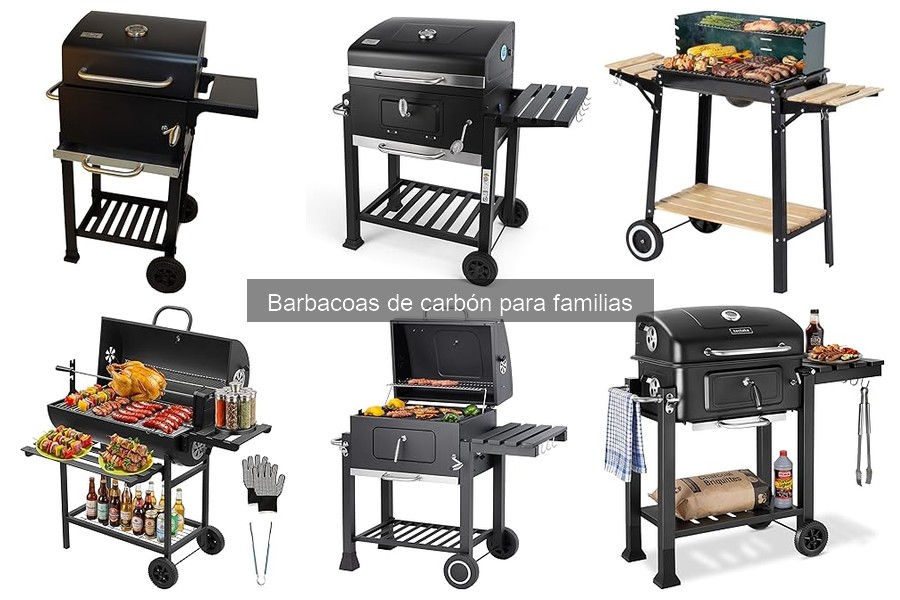 Ventajas y Desventajas de las Barbacoas de Carbón para Familias