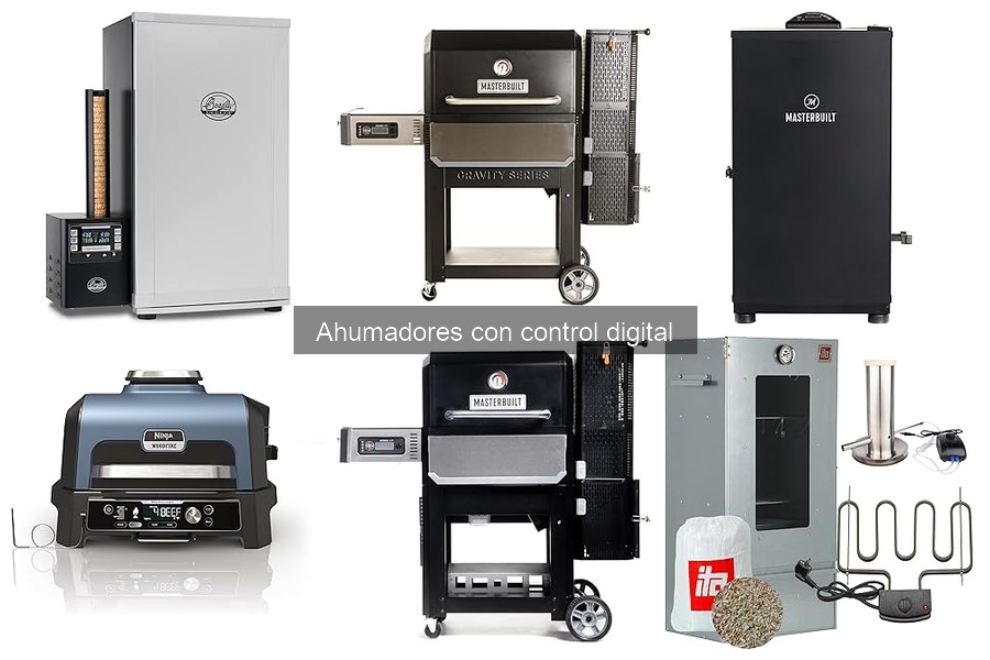 Ventajas y Desventajas de los Ahumadores con Control Digital