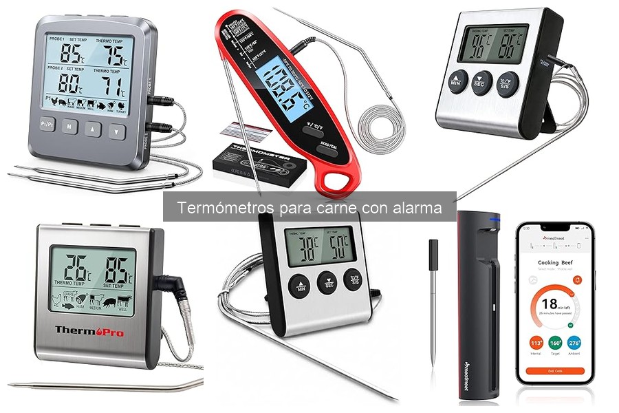 Ventajas y desventajas de un termómetro para carne con alarma