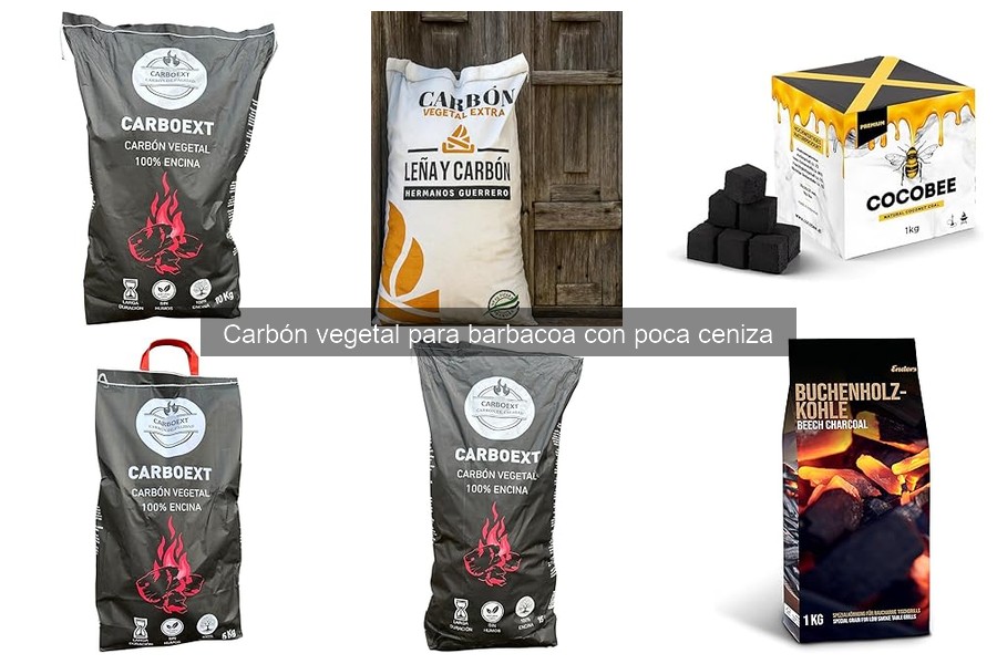 Ventajas y desventajas del carbón vegetal de poca ceniza